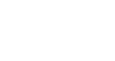 logo-w5